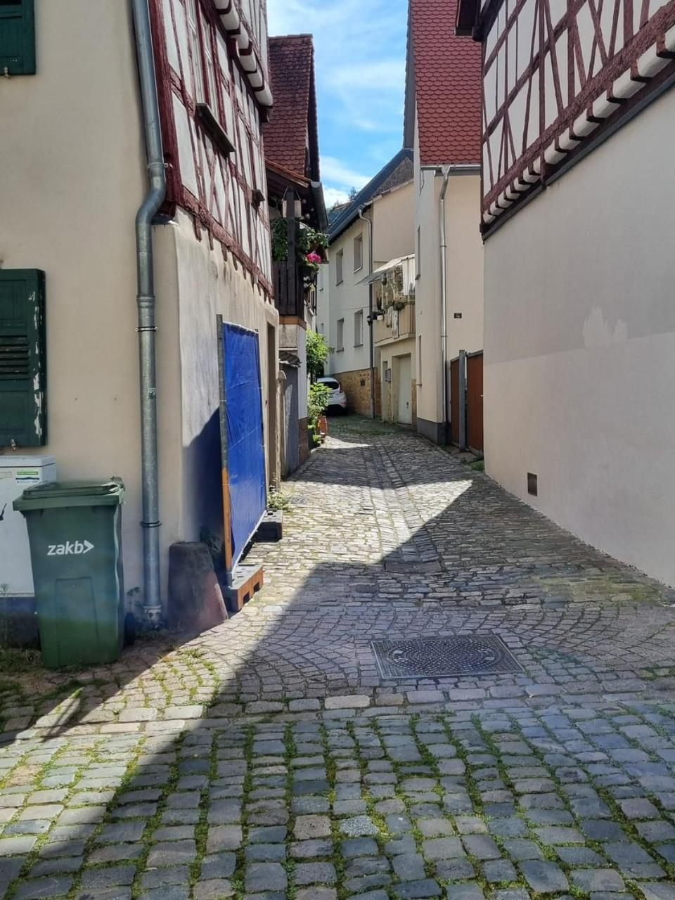 Ferienwohnung Heppenheim An Der Bergstrasse Whg 1 Екстериор снимка